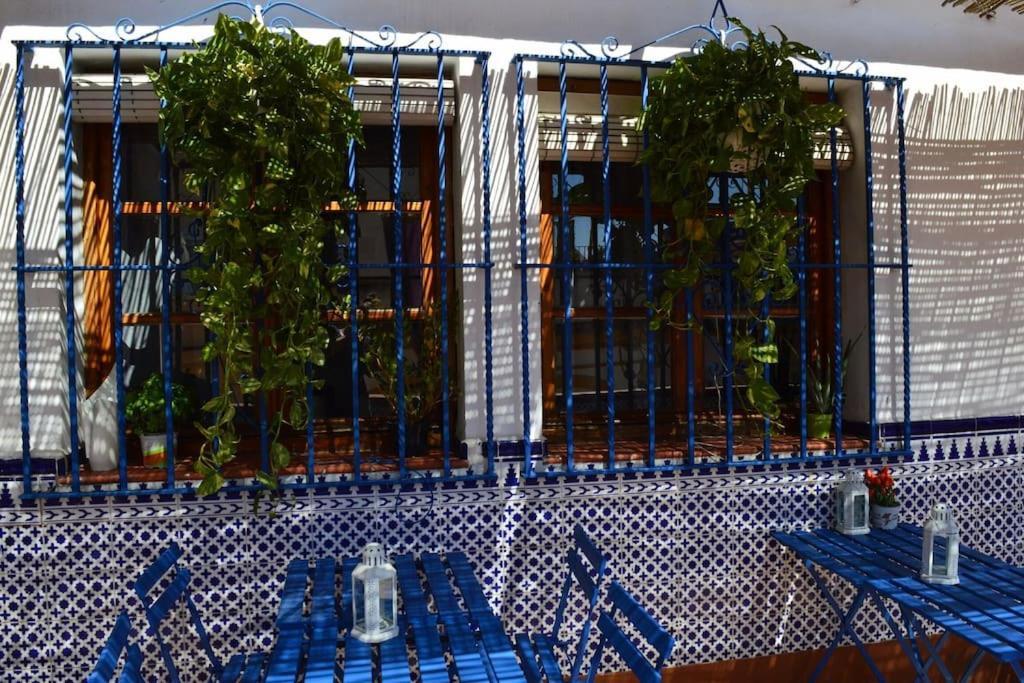 Apartamento En Centro Con Vistas A La Plaza Alameda De Hercules - Hasta 7 Personas *